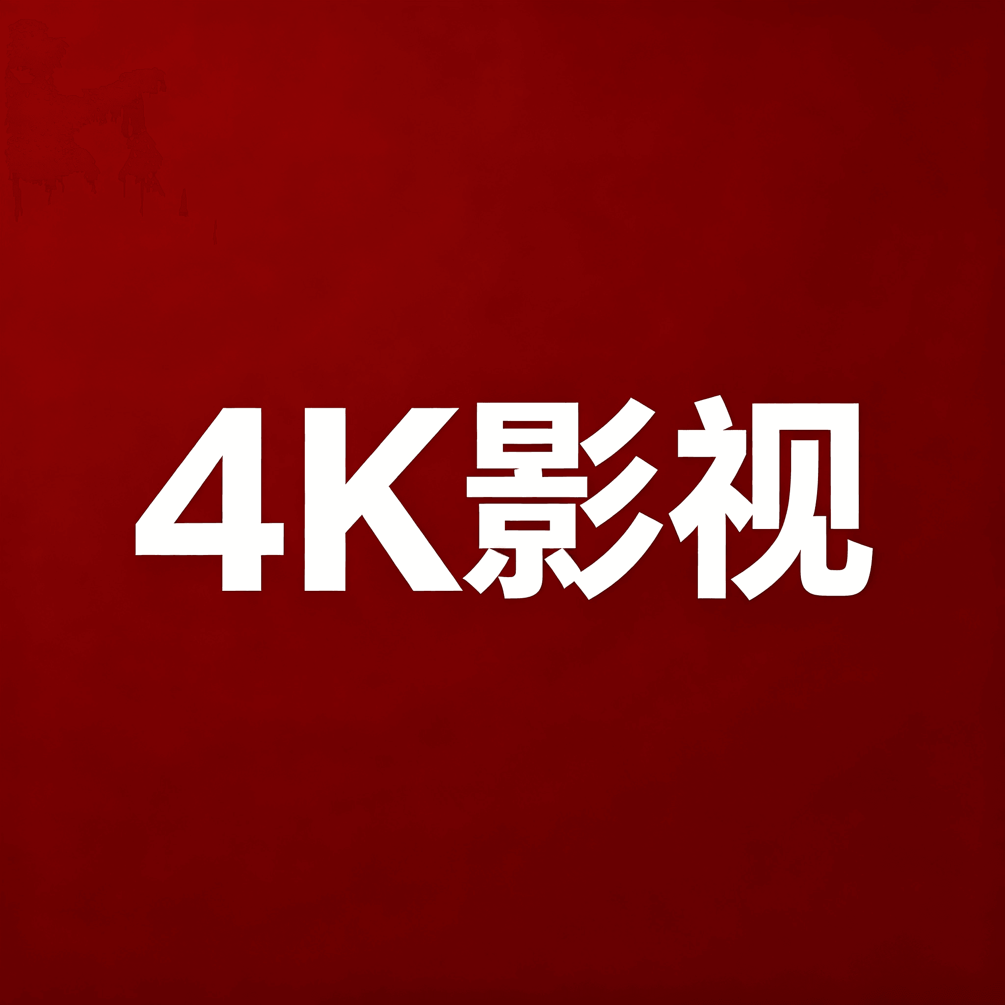 4K 影视 TV版